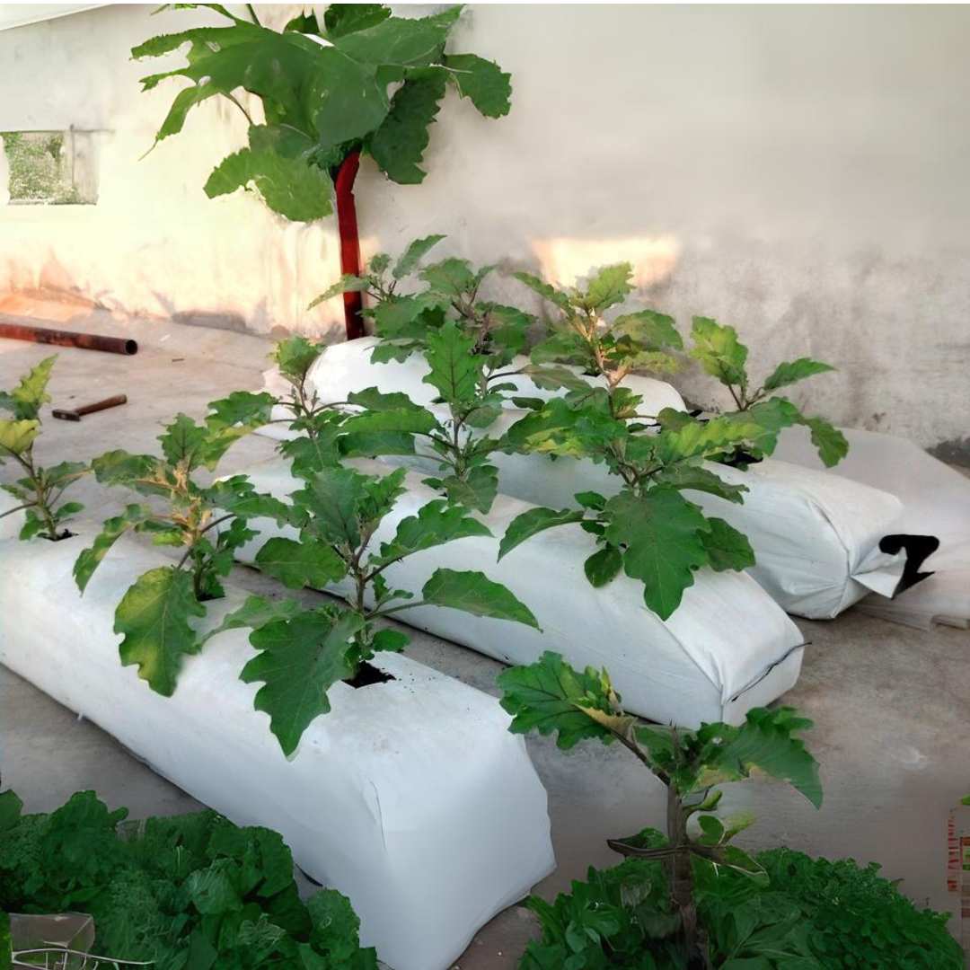 plant coir grow bags for coir lanka usa products