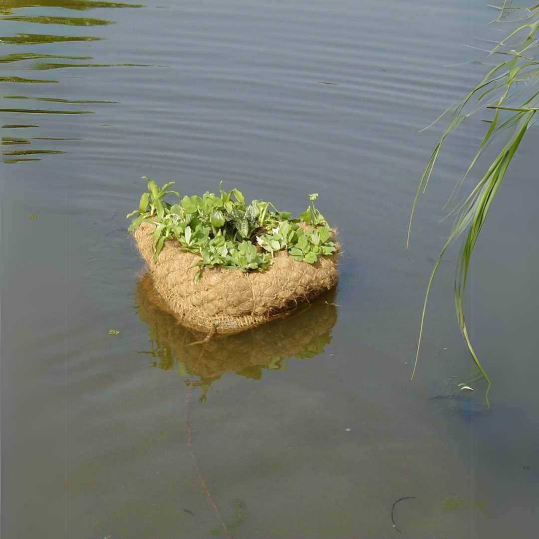 floating gardens for coir lanka usa products