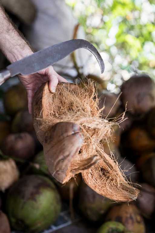 natural coconut fibers for coir lanka usa products